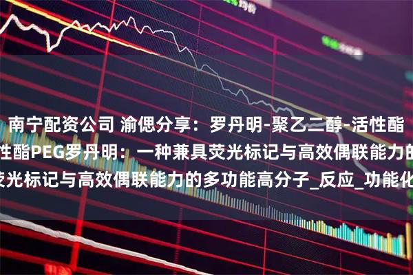 南宁配资公司 渝偲分享：罗丹明-聚乙二醇-活性酯，RB-PEG-NHS，活性酯PEG罗丹明：一种兼具荧光标记与高效偶联能力的多功能高分子_反应_功能化_材料